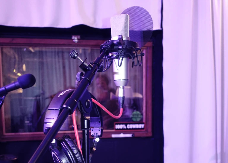 Close-up of microphone